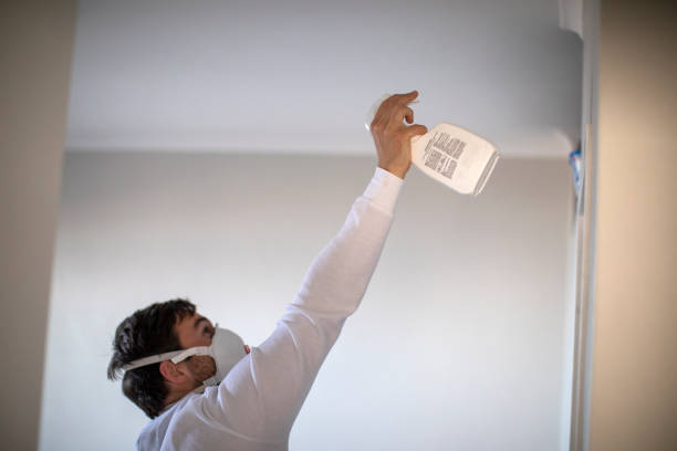 Best Mold Remediation  in Geneva, IN