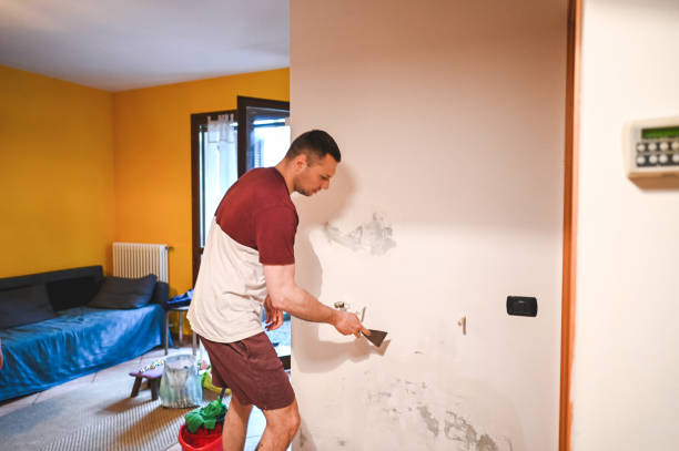 Best Emergency Mold Removal  in Geneva, IN
